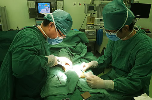 区医院肾内科开展首例左上肢自体动静脉内瘘成形术