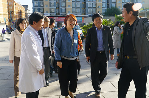 北京市卫计委“院前急救工作督导组” 莅临我院指导检查